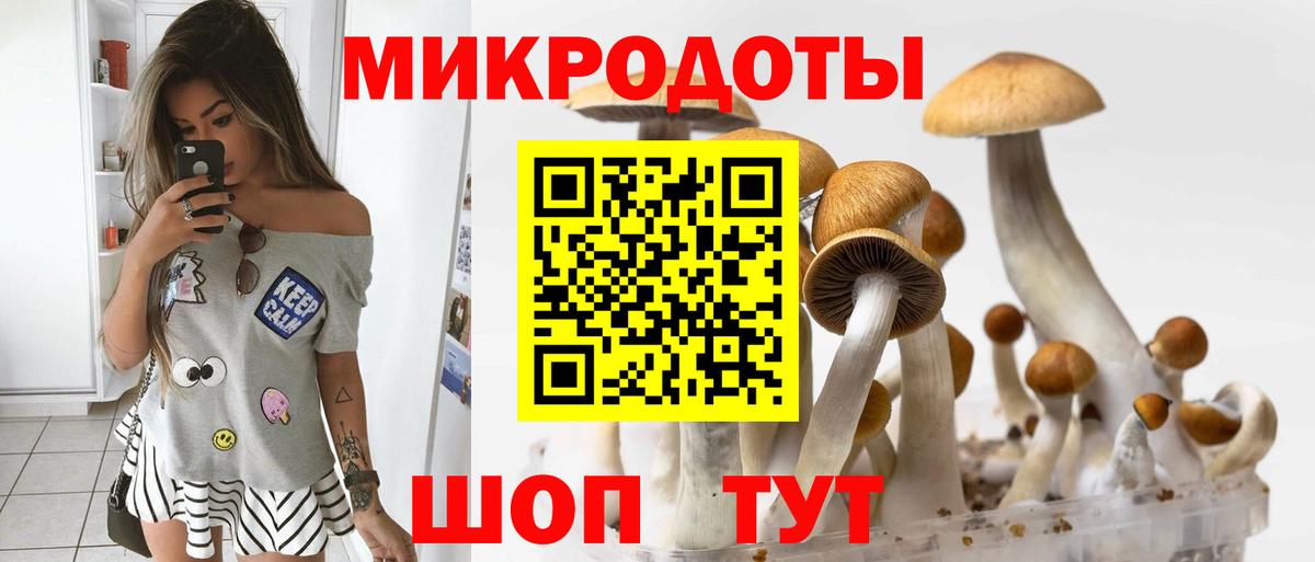 Саяногорск  Псилоцибиновые грибы прущие грибы  Вход с VPN 